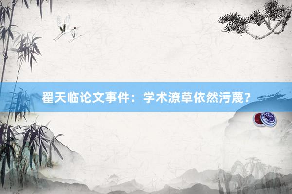 翟天临论文事件：学术潦草依然污蔑？